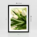 Plakat w ramie 30x40 - Białe Piękno - białe, tulipany - rama czarna
