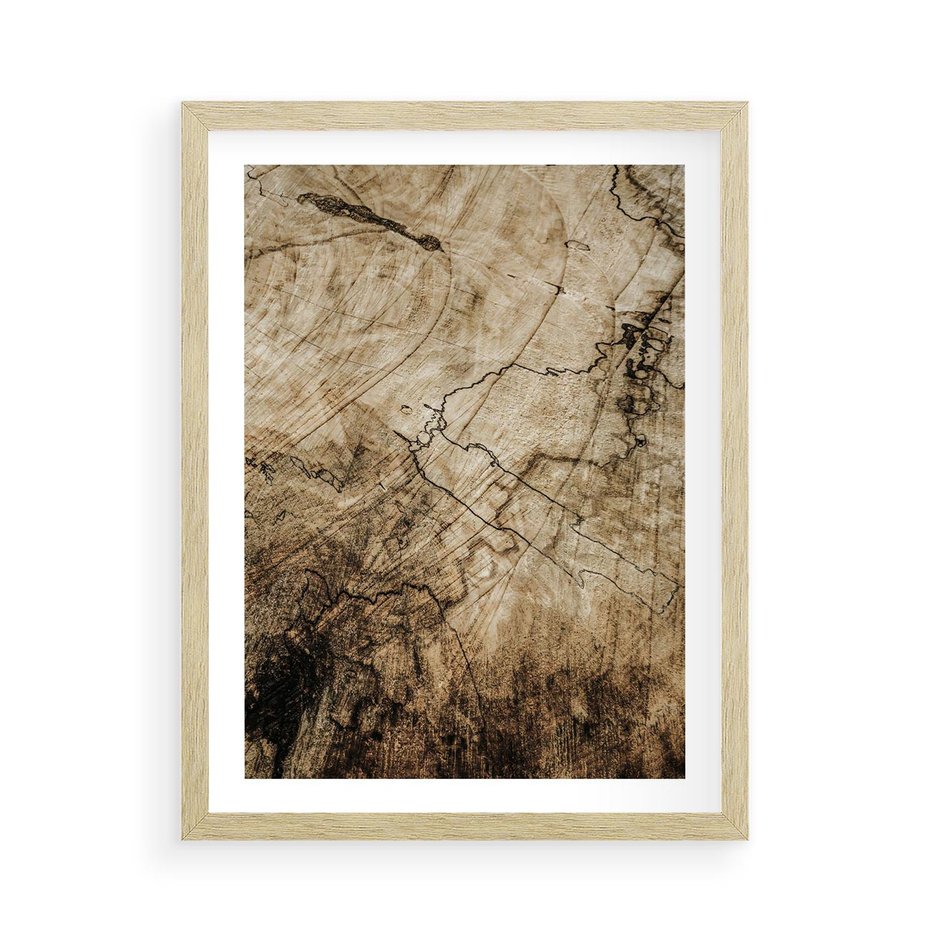Plakat w ramie 50x70 - Słoje Natury - słoje drzewa, pieńdrzewa - rama drewno