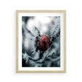 Plakat w ramie 40x50 - Chwila Zimowego Uroku - zima, ośnieżona gałązka - rama drewno