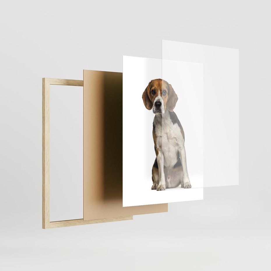 Plakat w ramie 30x40 - Wierność i radość - pies, piesek - rama drewno
