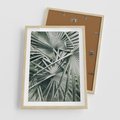 Plakat w ramie 50x70 - Palmy w Zgaszonej Zieleni - palmy, tropikalne liście - rama drewno