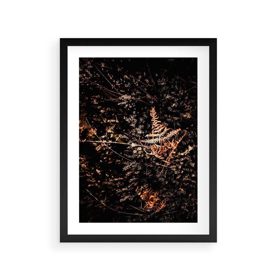 Plakat w ramie 30x40 - Jesienna Melodia - suche trawy, paprocie - rama czarna