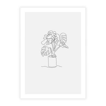 Plakat bez ramy 30x40 - Tajemnicza Harmonia - sztuka one line, monstera