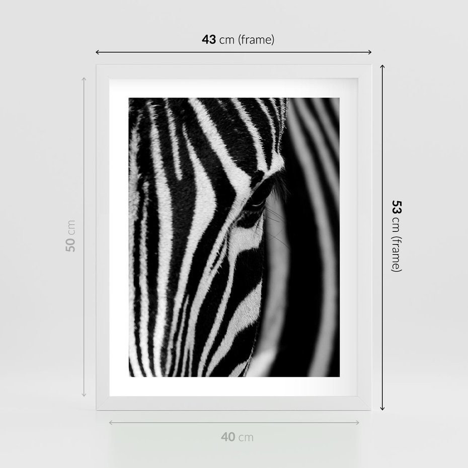 Plakat w ramie 40x50 - Pasy Zebr - zebra, paski - rama biała