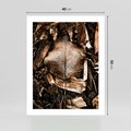 Plakat bez ramy 40x50 - Samotny Liść - liść, brąz
