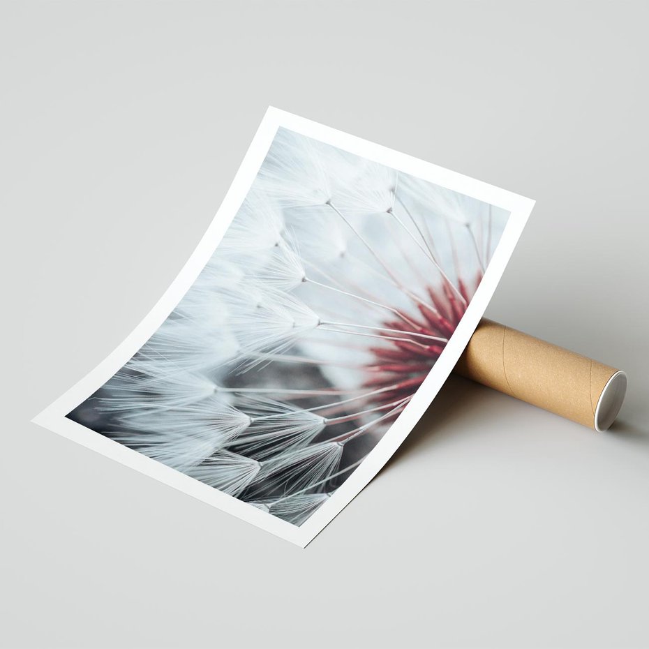 Plakat bez ramy 21x30 - Makro Magii Natury - dmuchawiec, zbliżenie makro