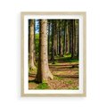 Plakat w ramie 50x70 - Las: harmonia natury - las, drzewa - rama drewno