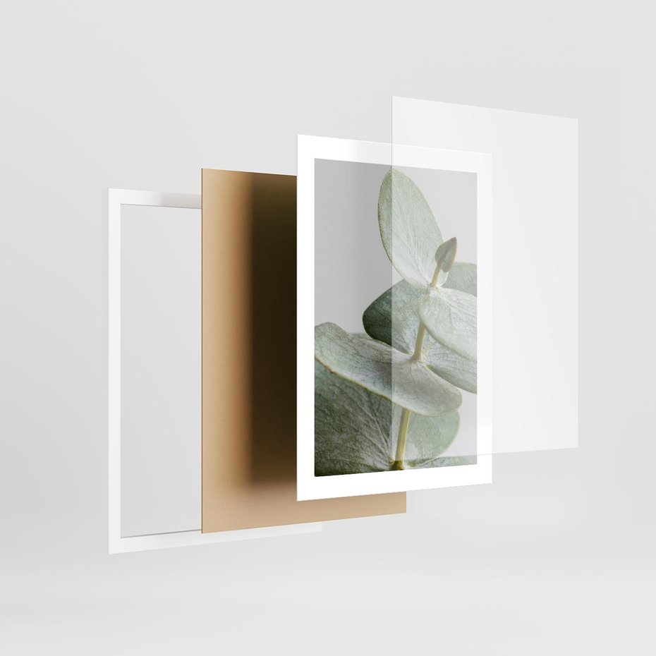 Plakat w ramie 30x40 - Eukaliptusowa zieleń - eukaliptus, zielone - rama biała
