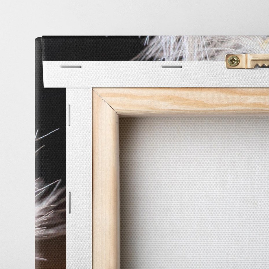 Obraz na płótnie 100x70 - Dmuchawiec: lekkość natury - dmuchawiec, natura