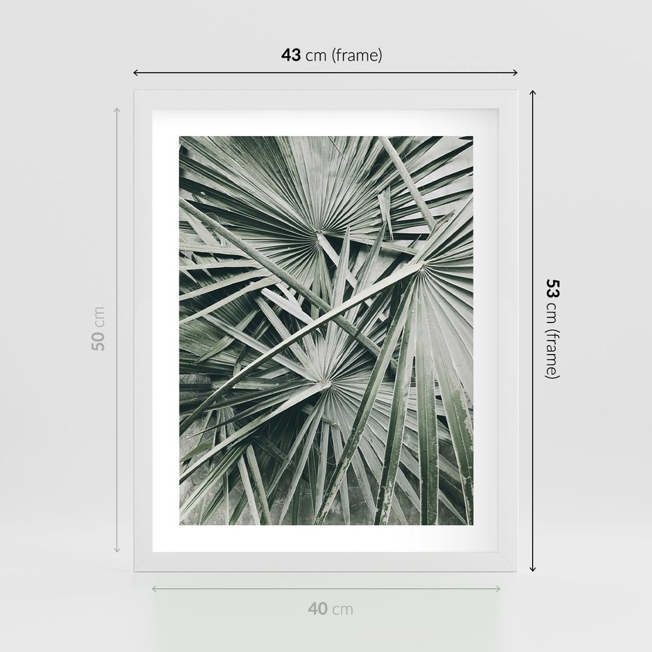 Plakat w ramie 40x50 - Palmy w Zgaszonej Zieleni - palmy, tropikalne liście - rama biała