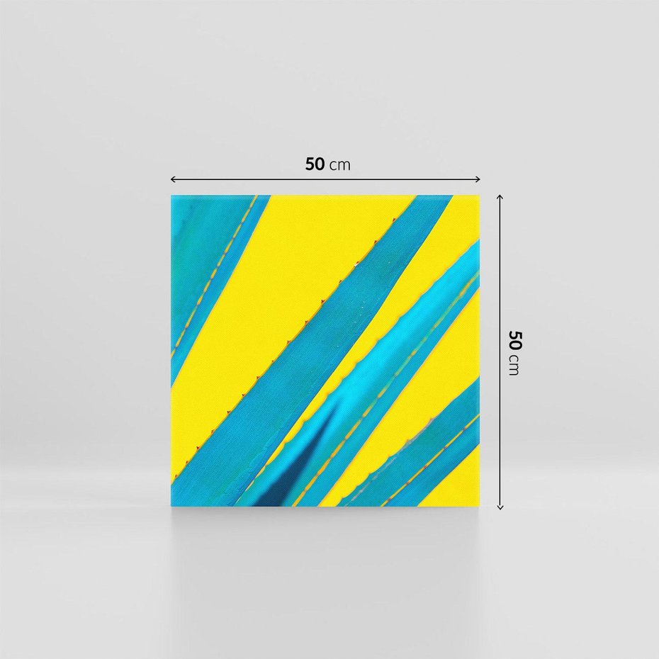 Obraz na płótnie 50x50 - Świeżość Natury - aloes, liście