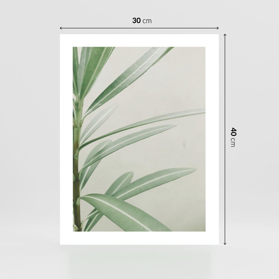 Plakat bez ramy 30x40 - Minimalistyczna Tropikalna Harmonia - tropikalna roślina, zielone liście