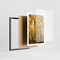 Plakat w ramie 50x70 - Jesienny Las - Kolorowa Paleta Natury - jesień, drzewa - rama czarna