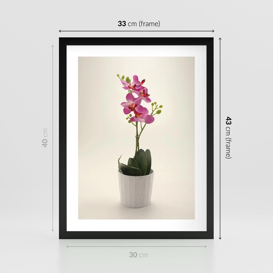 Plakat w ramie 30x40 - Delikatność storczyka orchidei - storczyk, orchidea - rama czarna