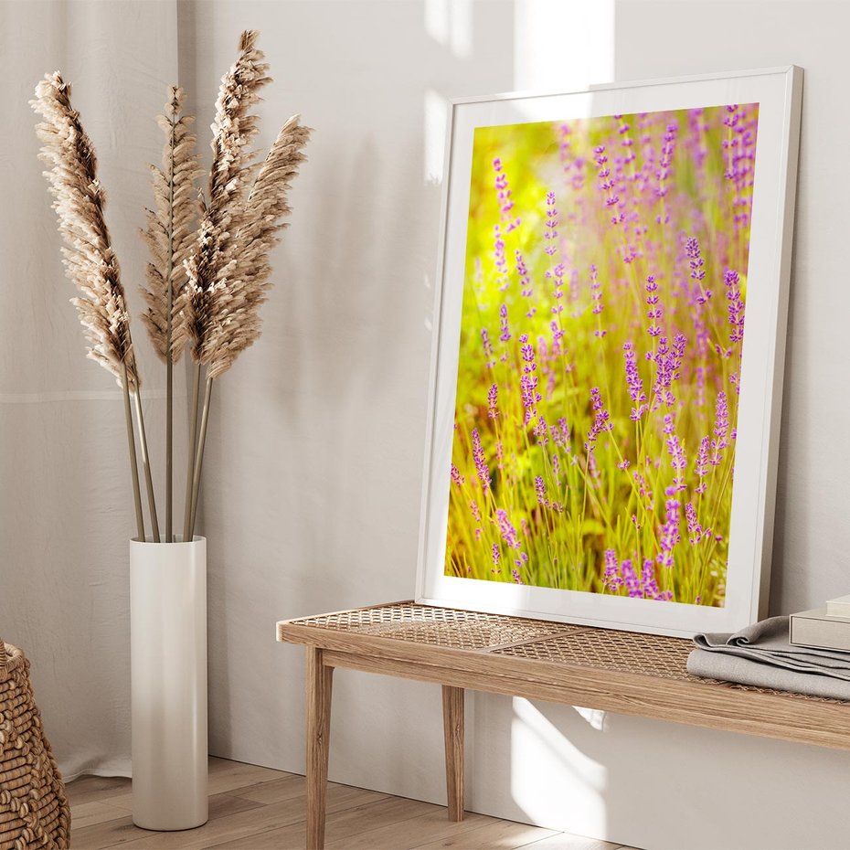 Plakat w ramie 30x40 - Delikatność natury - lawenda, kwiaty - rama biała