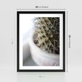 Plakat w ramie 40x50 - Kaktus w Zbliżeniu - kaktus, igły - rama czarna