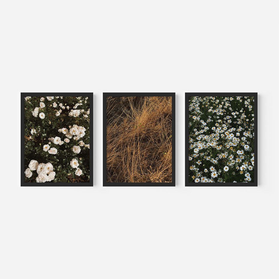 Zestaw obrazy w ramie 50x70 galeria - Boho, kwiaty, suche, trawy - rama czarna