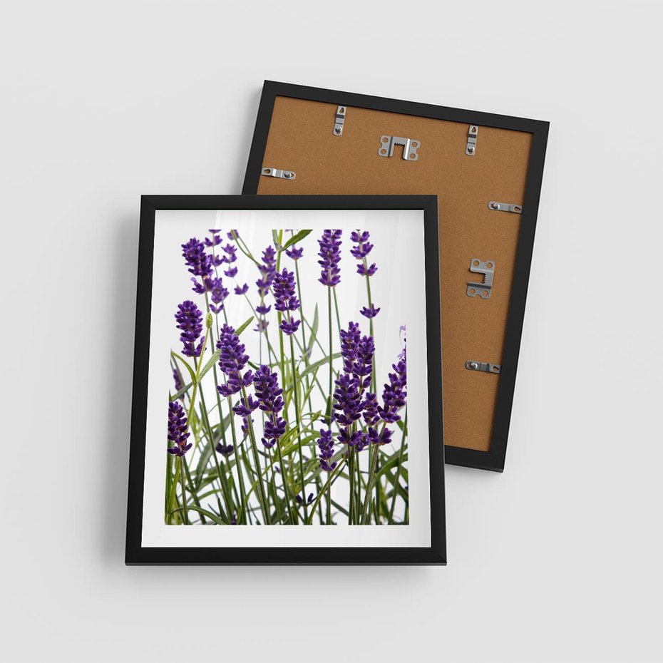 Plakat w ramie 40x50 - Fioletowa harmonia lawendy - lawenda, fiolet - rama czarna