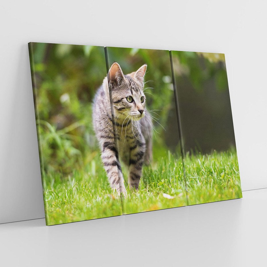 Obraz na płótnie 120x80 - Kocie polowanie w ogrodzie - kot, polowanie