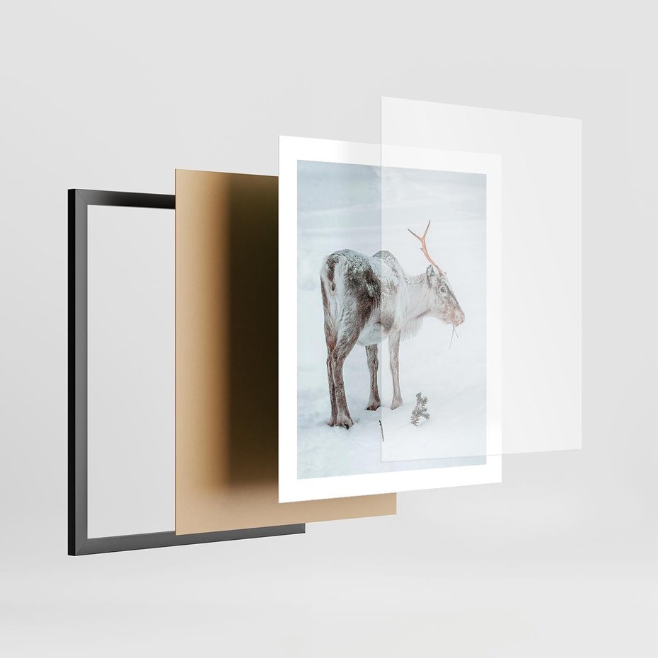 Plakat w ramie 40x50 - Magia Świąt - renifer na śniegu, śnieg - rama czarna