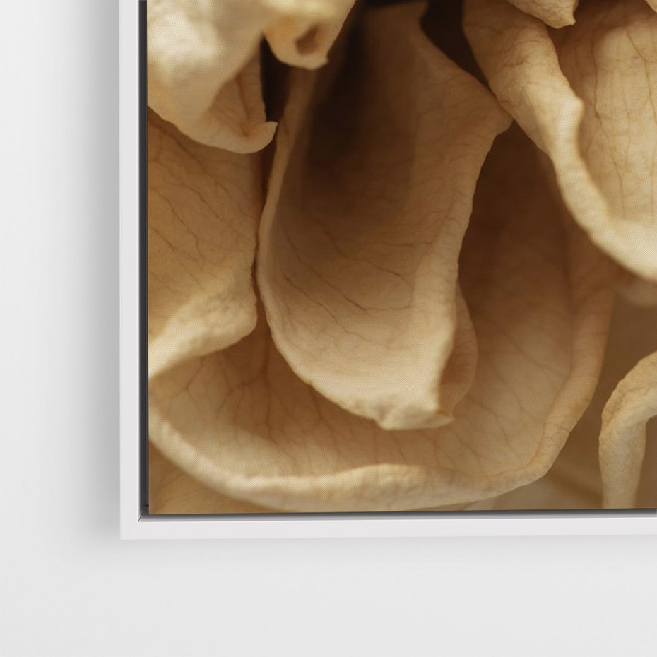 Obraz w ramie 70x100 - Zjawiskowe zasuszone kwiaty - zasuszone, kwiaty - rama biała