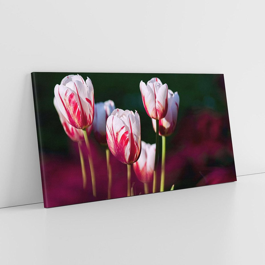 Obraz na płótnie 100x50 - Kwiatowy raj w naturze - kwiat, kwiaty