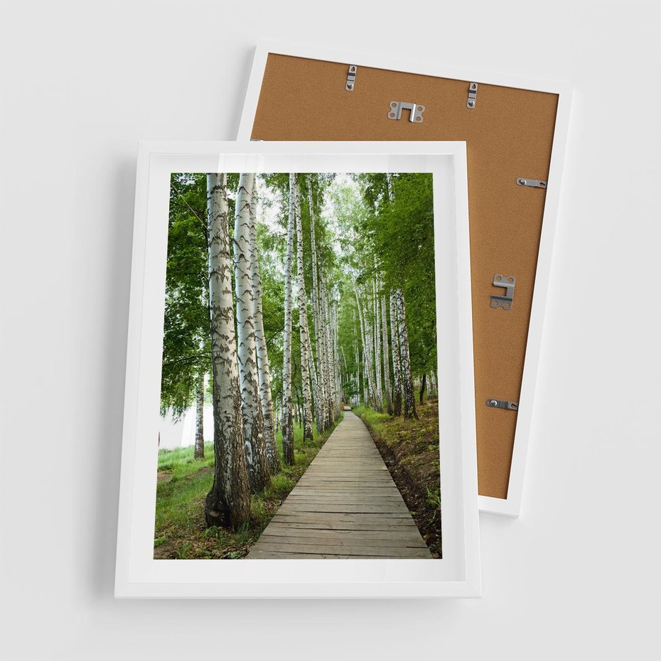 Plakat w ramie 50x70 - Spacer ścieżką przez brzozowy las - las, ścieżka - rama biała
