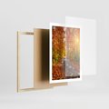 Plakat w ramie 50x70 - Kolorowe drzewa na ścieżce jesieni - las, jesień - rama drewno