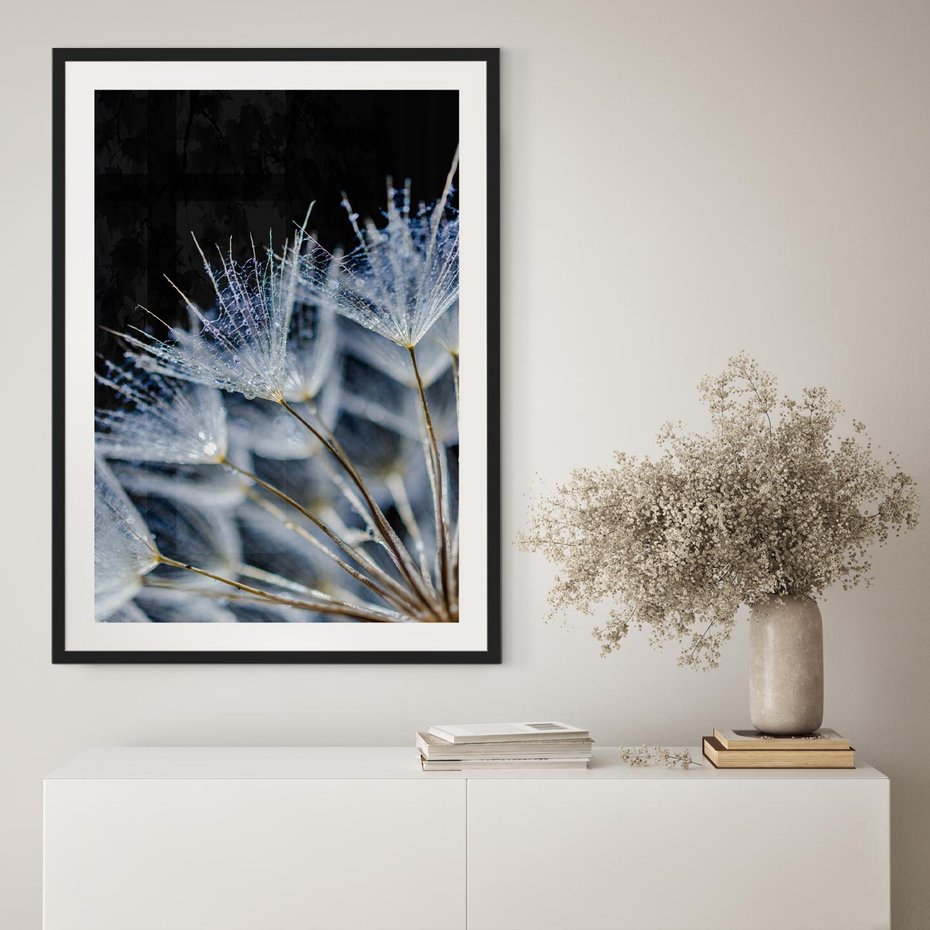 Plakat w ramie 30x40 - Makro piękno dmuchawców - makro, dmuchawce - rama czarna