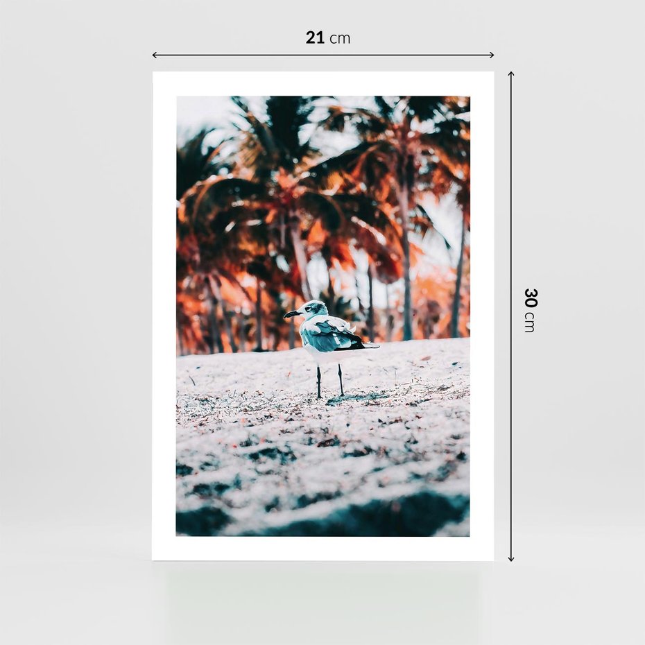 Plakat bez ramy 21x30 - Tropikalna Uroda: Plaża z Mewą - tropikalna plaża, mewa na piasku