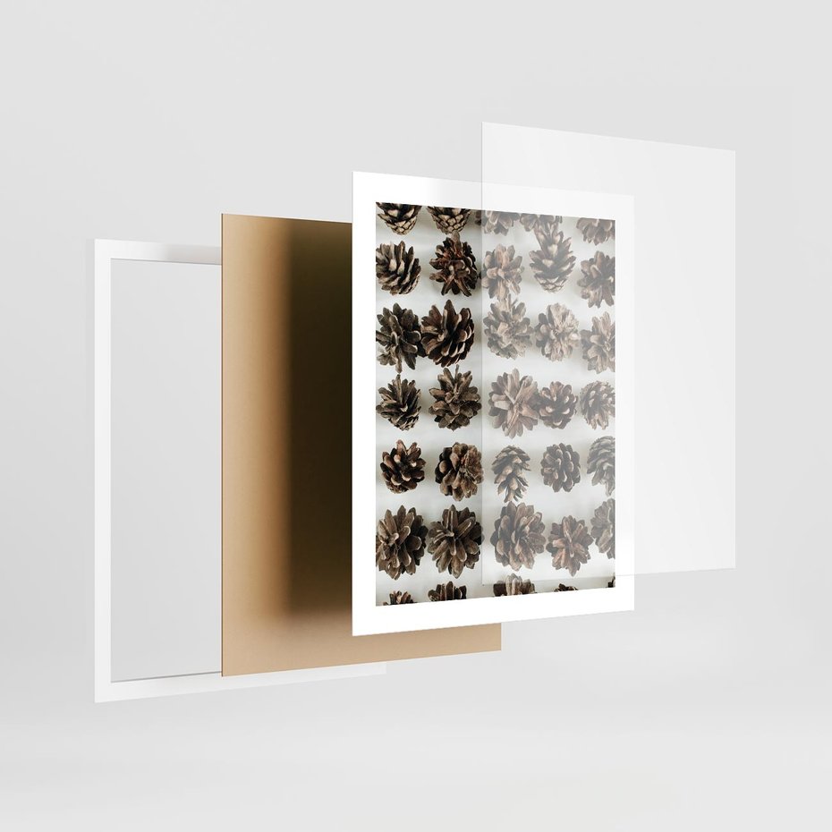 Plakat w ramie 40x50 - Jesienna Tekstura - kompozycja z suchych szyszek, jesienne szyszki - rama biała