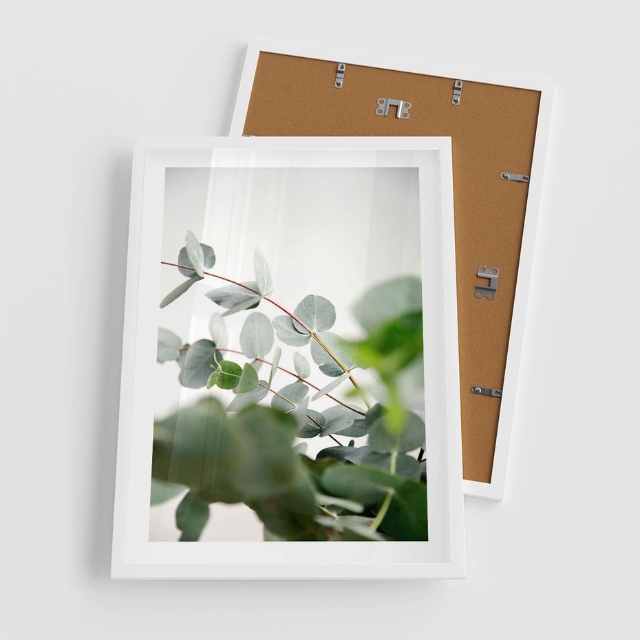 Plakat w ramie 50x70 - Zielony Świat Eukaliptusa - eukaliptus, fotografia - rama biała