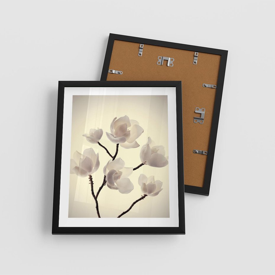 Plakat w ramie 40x50 - Elegancja Natury - magnolia, białe - rama czarna