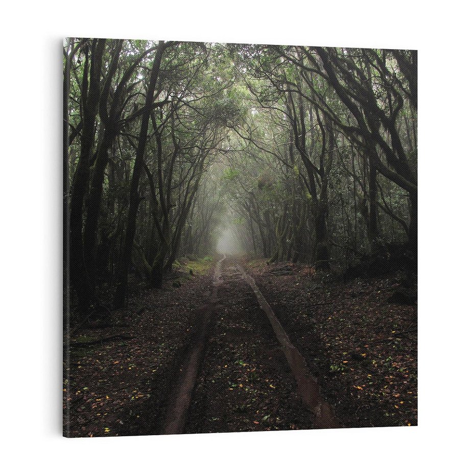 Obraz na płótnie 70x70 - Urok Drogi - las, droga
