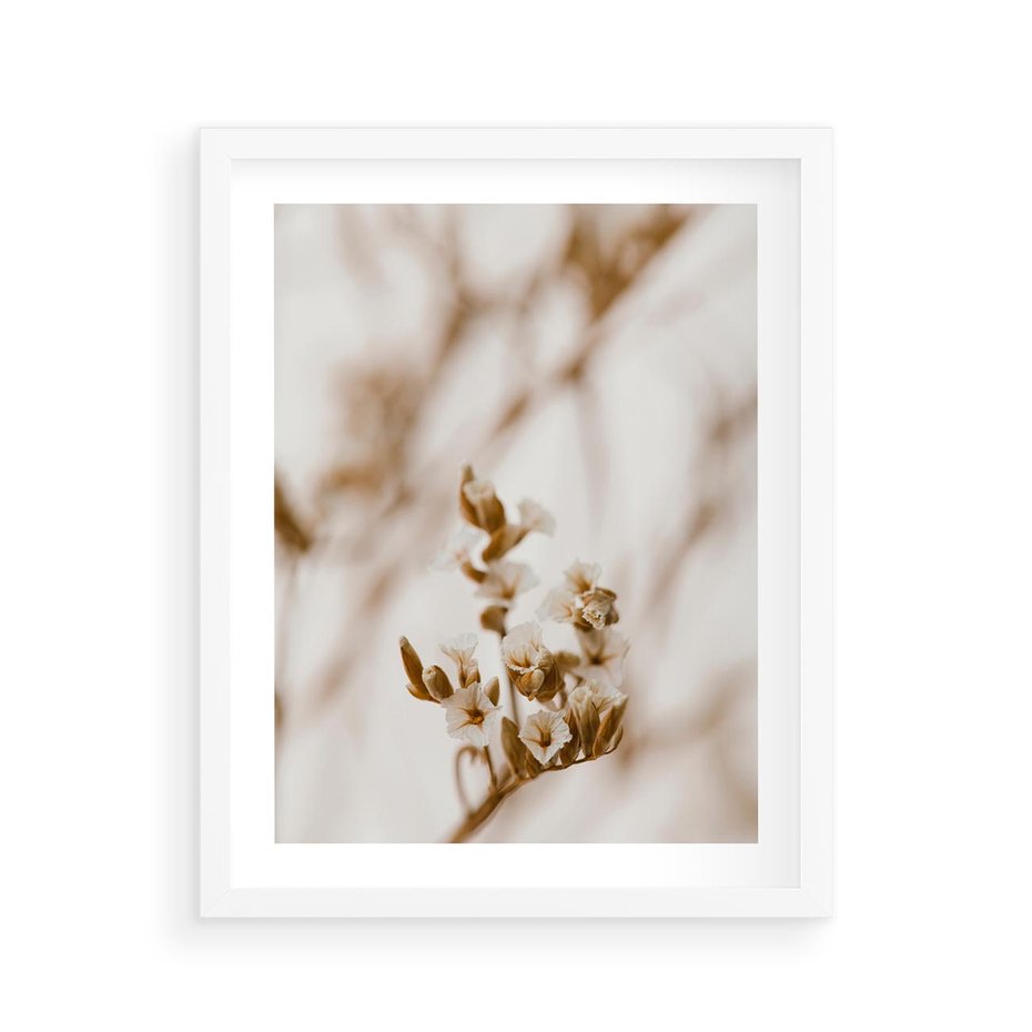 Plakat w ramie 40x50 - Kwiatowa suchość - kwiaty, susz - rama biała