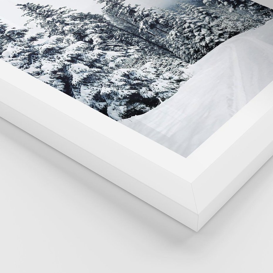 Plakat w ramie 50x70 - Zimowy Las Pod Kołdrą - las, zima - rama biała