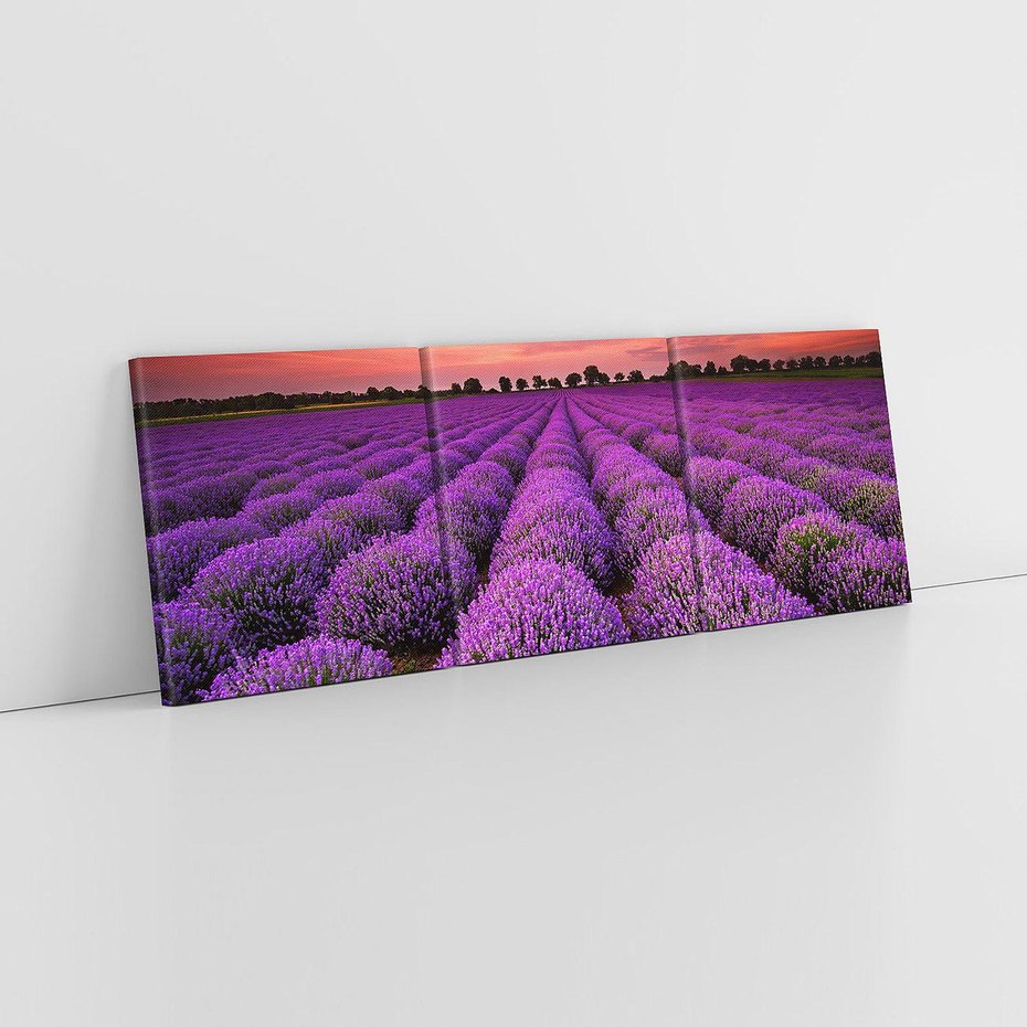 Obraz na płótnie 120x40 - Lawenda: polne zauroczenie - lawenda, kwiaty