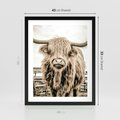 Plakat w ramie 40x50 - Klimat Wiejskiego Życia - amerykańska krowa, byk - rama czarna