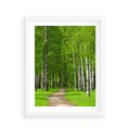 Plakat w ramie 40x50 - Spacer Ścieżką w Urokliwym Lesie - las, ścieżka - rama biała