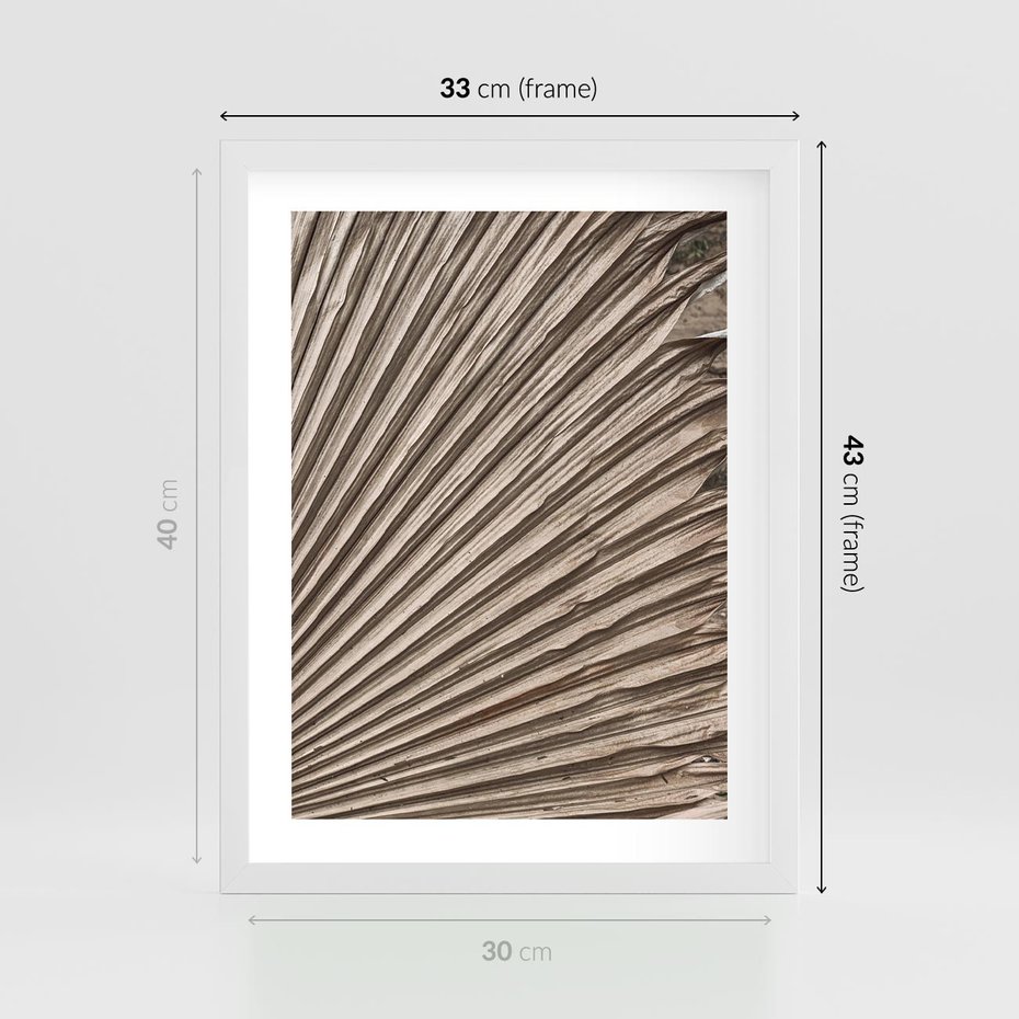 Plakat w ramie 30x40 - Liść Palmy w Wyjątkowej Kompozycji - suchy liść palmy, boho styl - rama biała