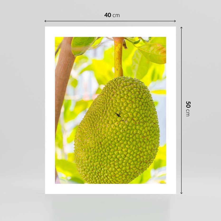 Plakat bez ramy 40x50 - Tropikalny raj nad morzem - tropikalny, owoc