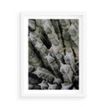 Plakat w ramie 50x70 - Oaza Natury - sukulenty, kaktusy - rama biała