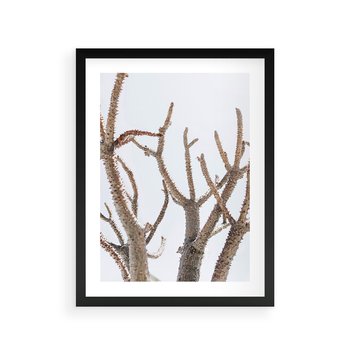 Plakat w ramie 50x70 - Pustynna Harmonia Gałęzi - pustynna roślina, suche gałęzie - rama czarna