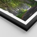 Plakat w ramie 50x70 - Magiczny Las - drzewa, las - rama czarna