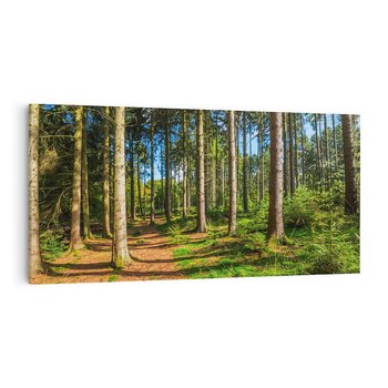 Obraz na płótnie 120x60 - Mistyfikacje lasu - las, drzewa