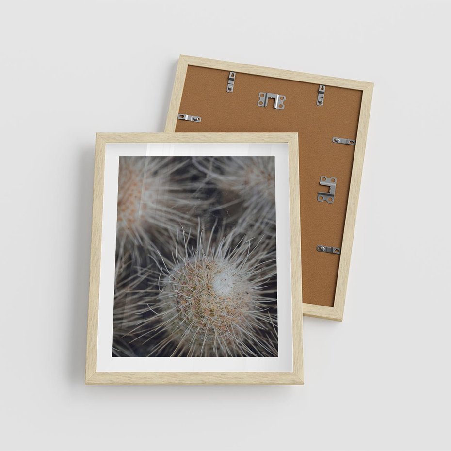 Plakat w ramie 40x50 - Ulotna Piękność Natury - makro, dmuchawce - rama drewno