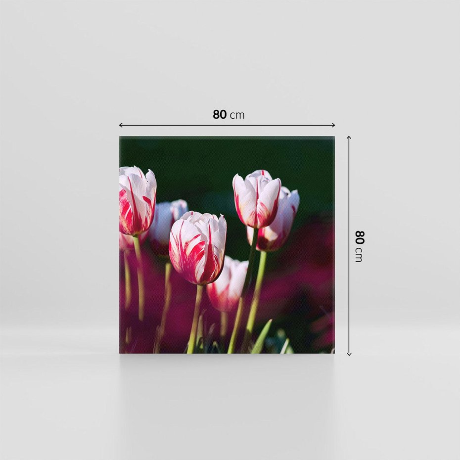 Obraz na płótnie 80x80 - Kwiatowy raj w naturze - kwiat, kwiaty