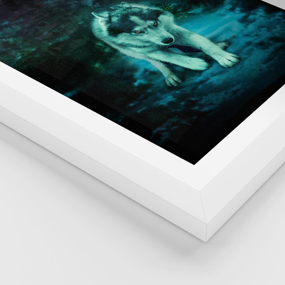 Plakat w ramie 50x70 - Siła i wdzięk natury - wilk, husky - rama biała