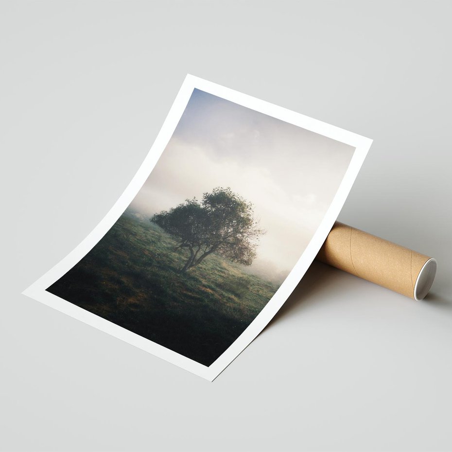Plakat bez ramy 21x30 - Zamglona Prostota - artystyczna fotografia, samotne drzewo na zamglonej łące