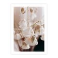 Plakat bez ramy 40x50 - Suszona Delikatność - suszone kwiaty, rośliny